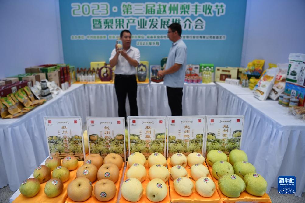 巴黎人十大棋牌